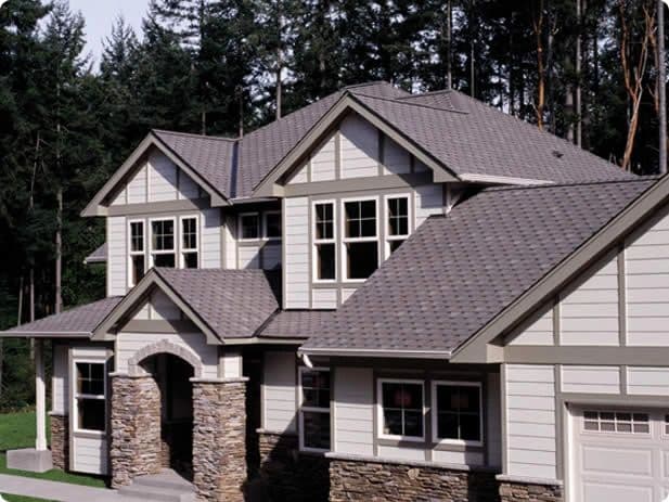 Roof Project 19